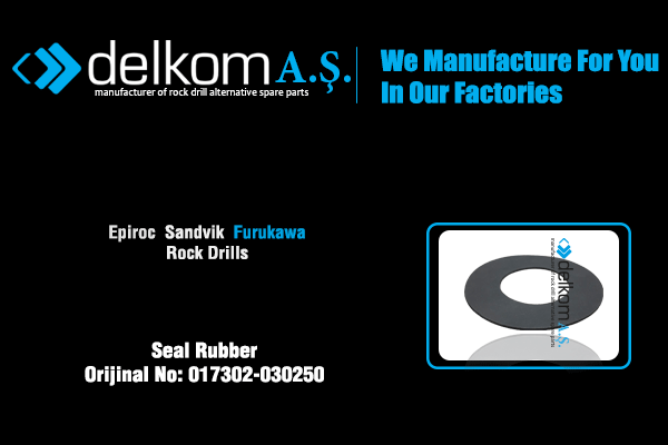 Yakıt Depo Kapak Contası